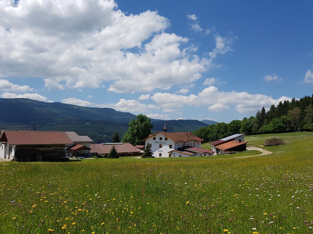 Osserhotel Garni Lohberg Exterior photo
